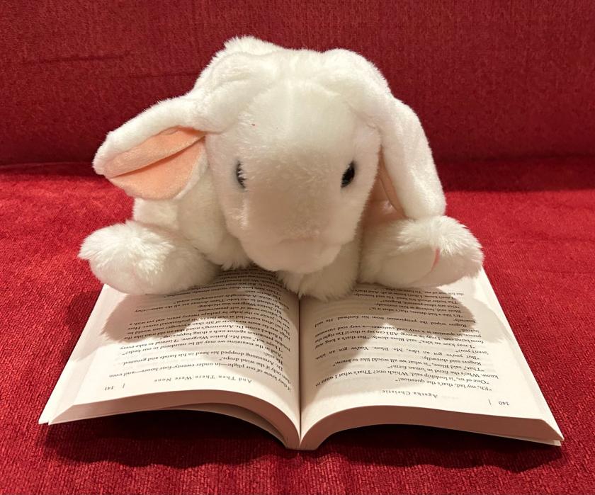 Marshmallow is reading And Then There Were None by Agatha Christie.