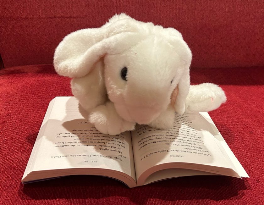 Marshmallow is reading Crenshaw by Katherine Applegate.