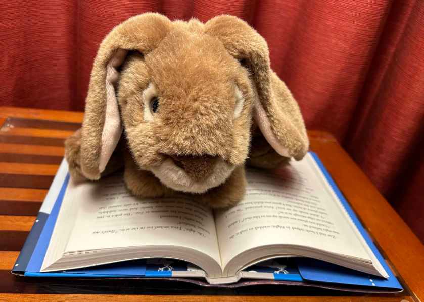 Caramel is reading Spy School Goes North by Stuart Gibbs.
