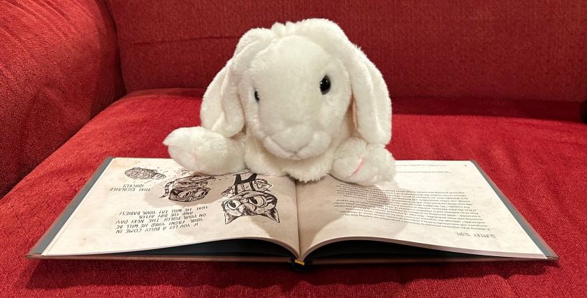 Marshmallow is reading An Illustrated Book of Bad Arguments, written by Ali Almossawi and illustrated by Alejandro Giraldo.
