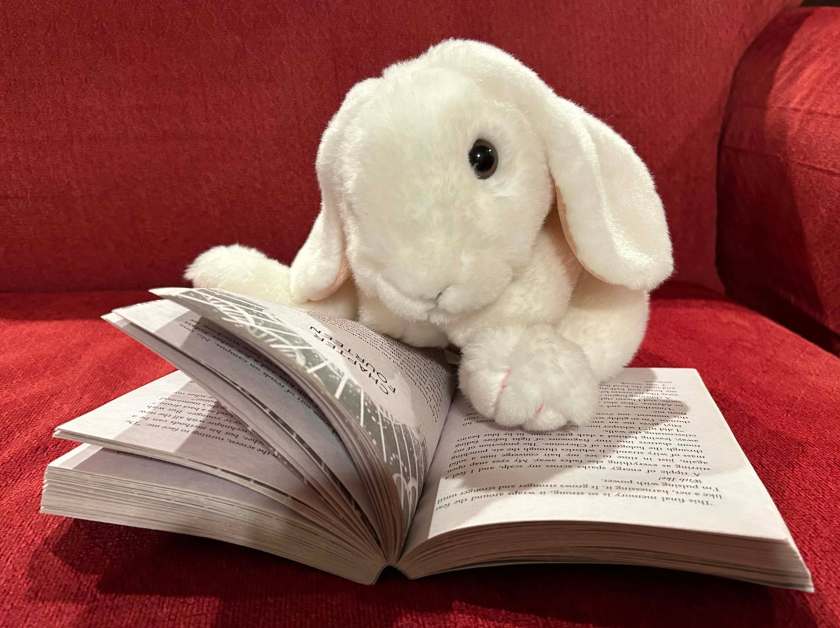 Marshmallow is reading Onyeka and the Academy of the Sun by Tọlá Okogwu.