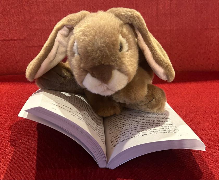 Caramel is reading Artemis Fowl by Eoin Colfer.