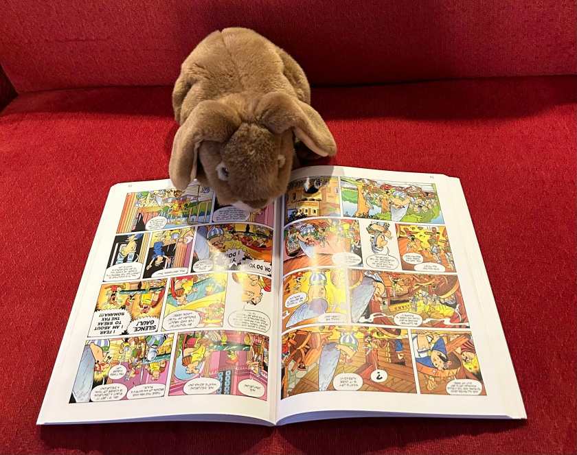 Caramel is reading Asterix Omnibus 1, written by Rene Goscinny and illustrated by Albert Uderzo.