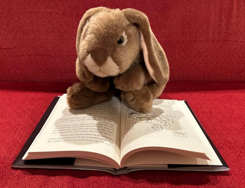 Caramel is reading Closet of Dreams, written by Mark Ukra and Tara Mesalik MacMahon and illustrated by Donna Dyer.