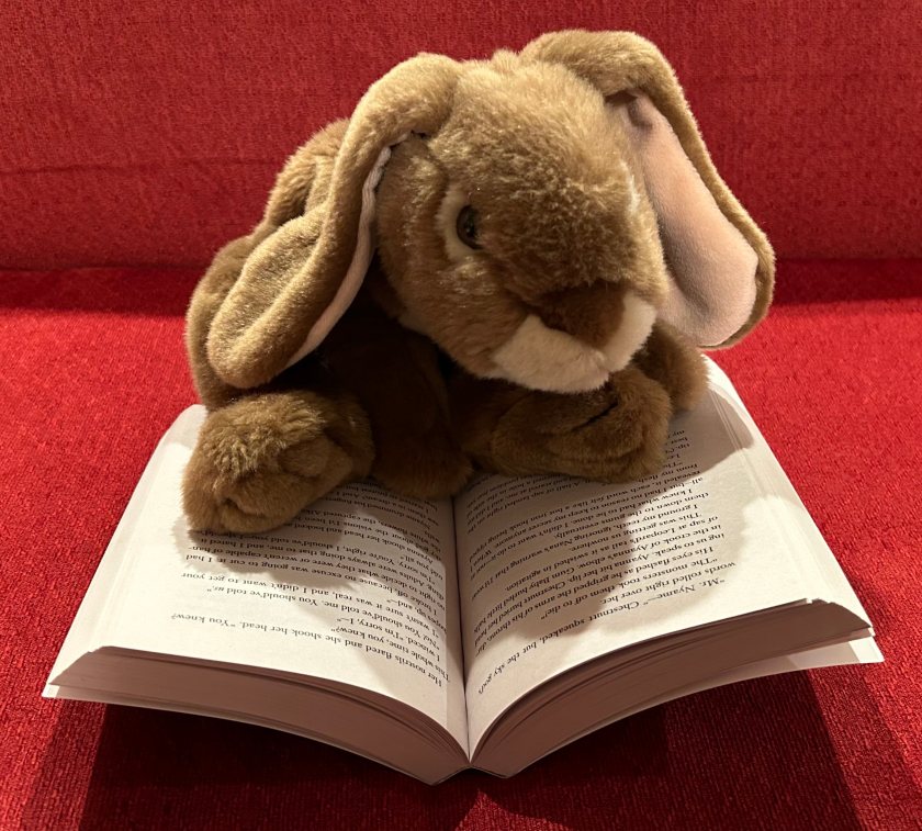 Caramel is reading Tristan Strong Punches a Hole in the Sky by Kwame Mbalia.