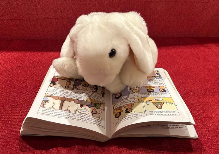 Marshmallow is reading All's Faire in Middle School by Victoria Jamieson.