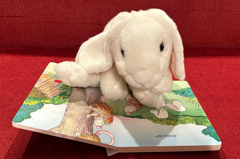  Marshmallow is reading It's Not Easy Being a Bunny, written by Marilyn Sadler and illustrated by Roger Bollen.