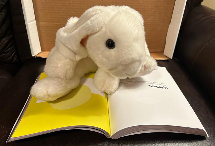 Marshmallow is reading Philographics: Big Ideas in Simple Shapes by Genís Carreras.