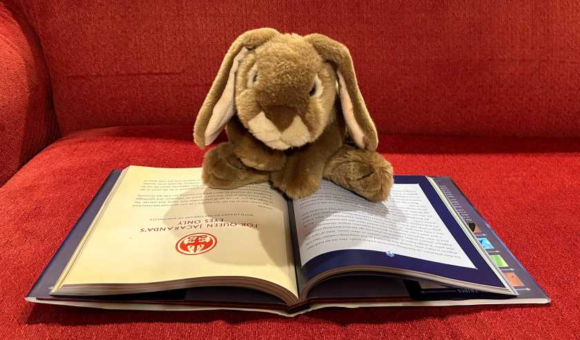 Caramel is reading Wings of Fire: A Guide to the Dragon World, written by Tui T. Sutherland and illustrated by Joy Ang, with additional art from Mike Schley and Maarta Laiho.