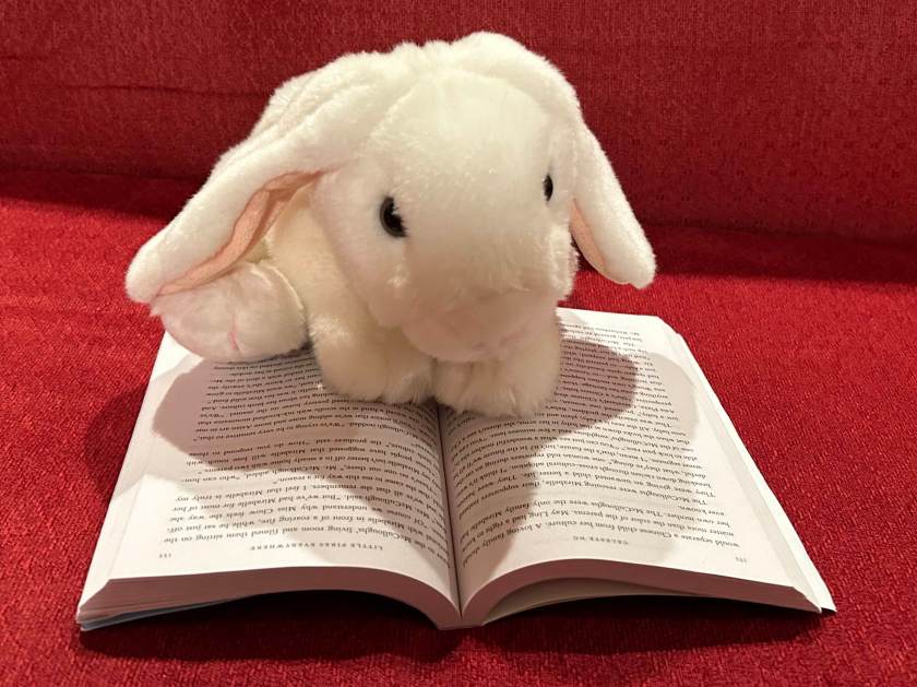 Marshmallow is reading Little Fires Everywhere by Celeste Ng.