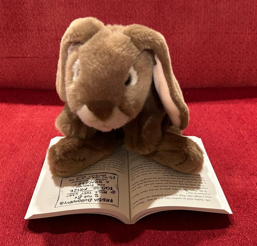 Caramel is reading Homer Price by Robert McCloskey.