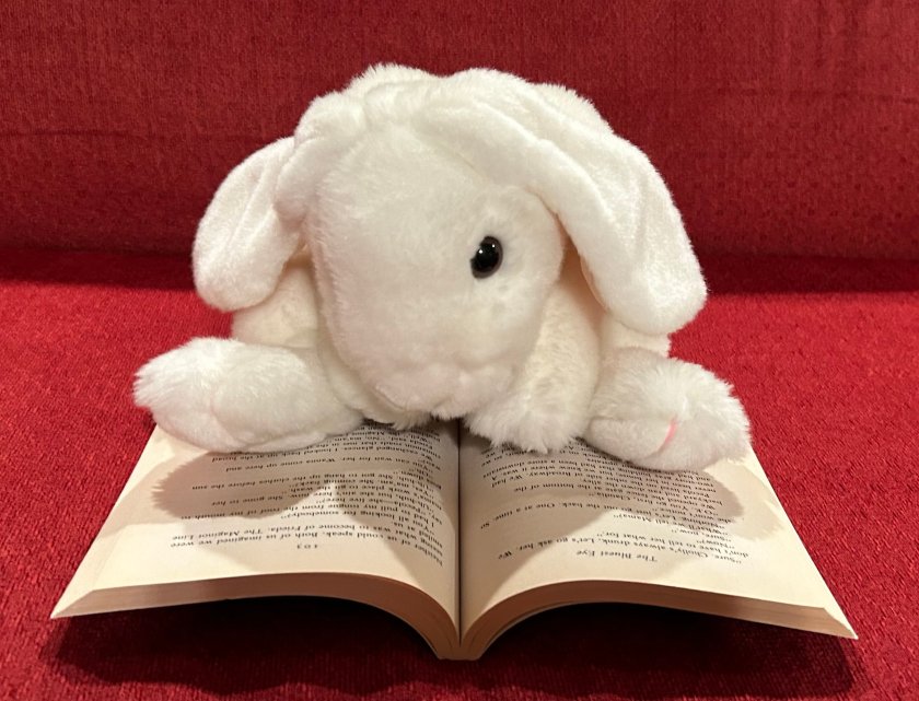 Marshmallow is reading The Bluest Eye by Toni Morrison.