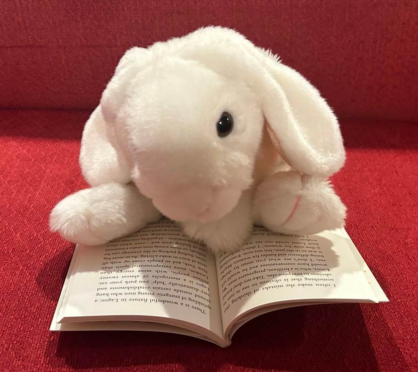 Marshmallow is reading We Should All Be Feminists by Chimamanda Ngozi Adichie.