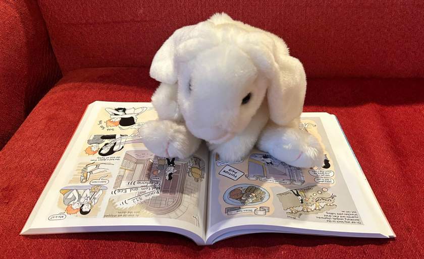 Marshmallow is reading Evil Eyes Sea by Özge Samancı.