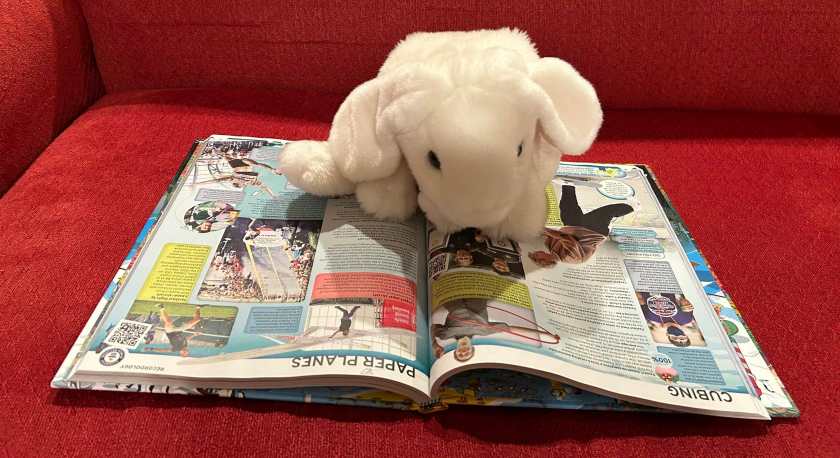 Marshmallow is reading Guinness: World Records 2024.