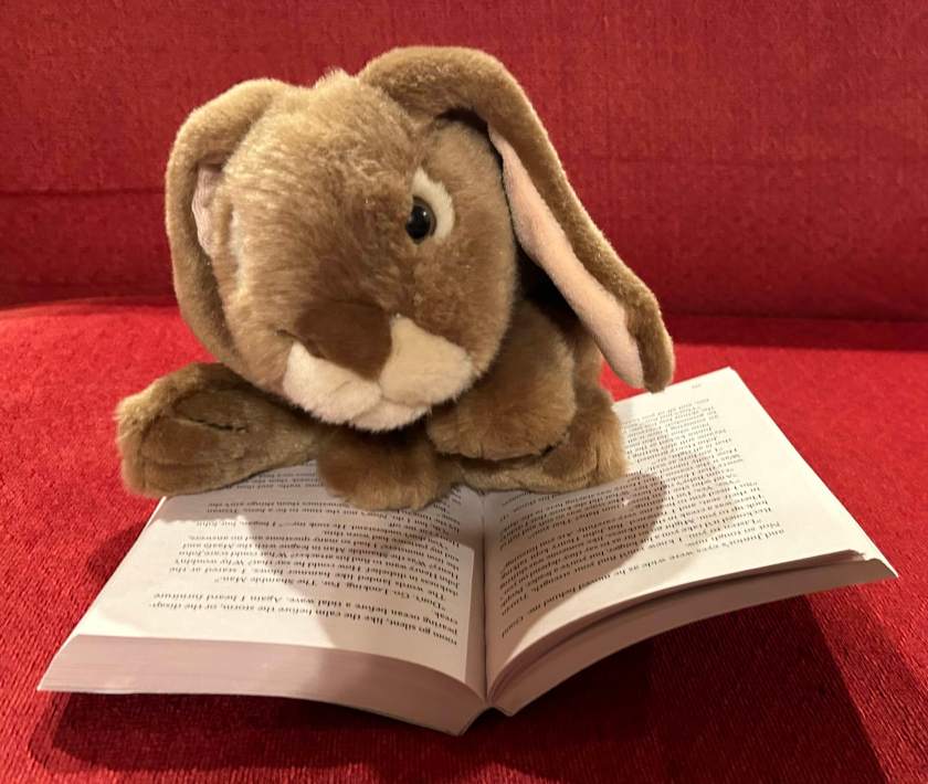 Caramel is reading Tristan Strong Destroys the World by Kwame Mbalia.