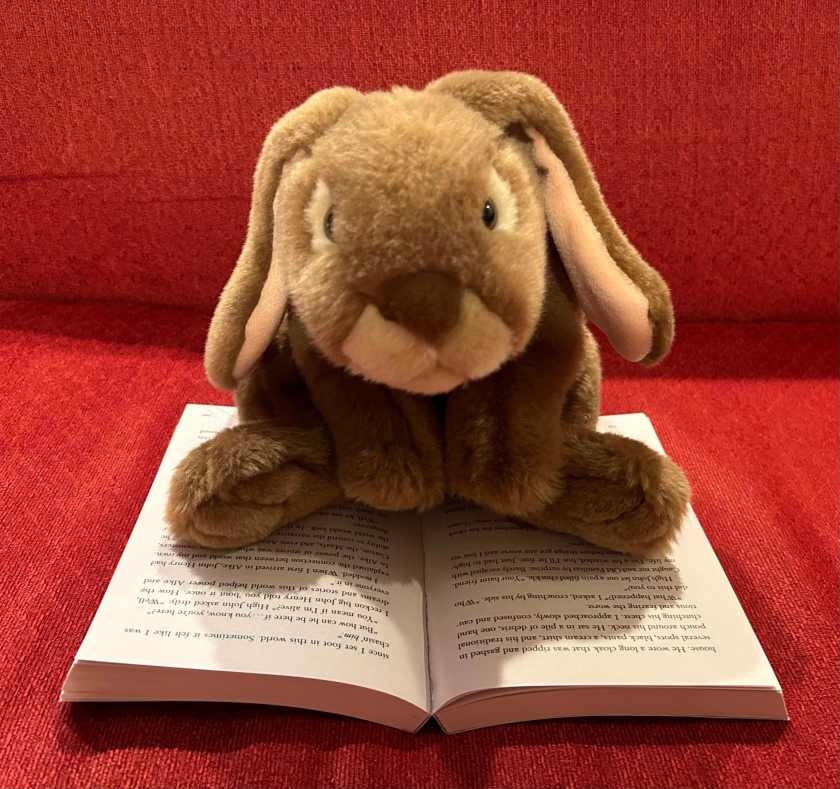 Caramel is reading Tristan Strong Keeps Punching by Kwame Mbalia.