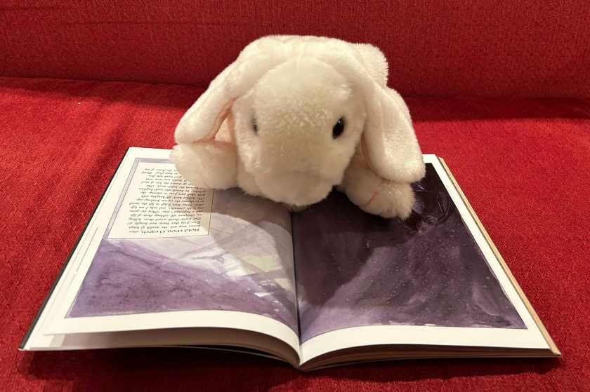 Marshmallow is reading Beowulf: A Graphic Novel Adaptation by Gareth Hinds.