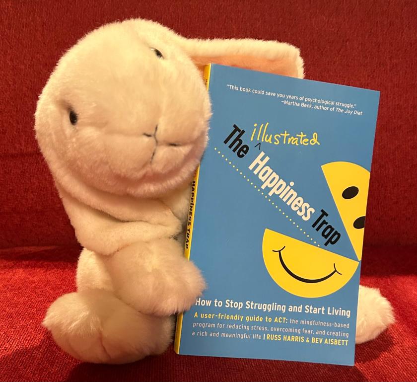 Marshmallow rates The Illustrated Happiness Trap by Russ Harris and Bev Aisbett 95%.