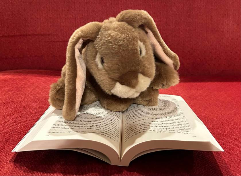 Caramel is reading Artemis Fowl and the Opal Deception by Eoin Colfer.