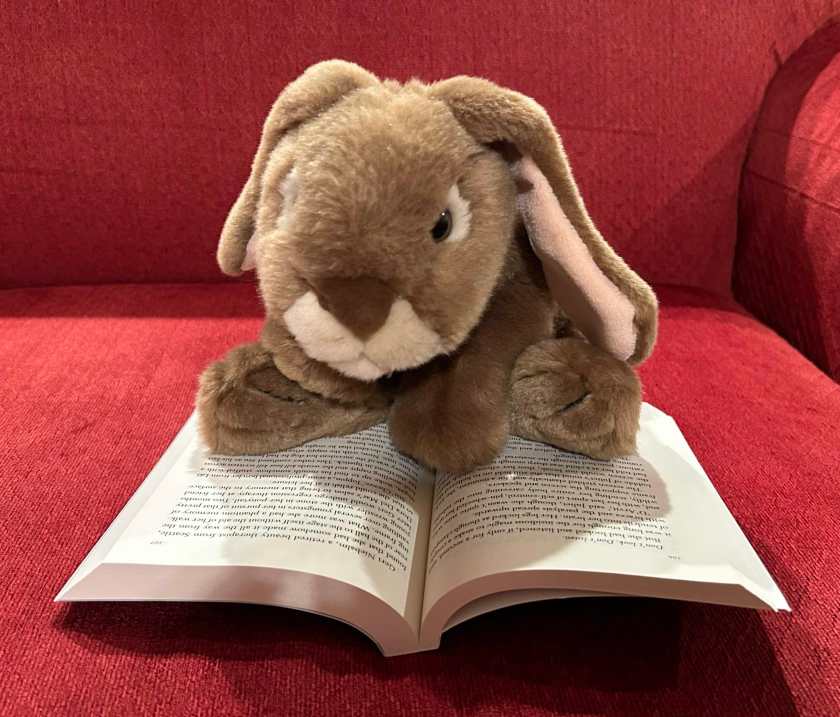 Caramel is reading Artemis Fowl and the Atlantis Complex by Eoin Colfer.