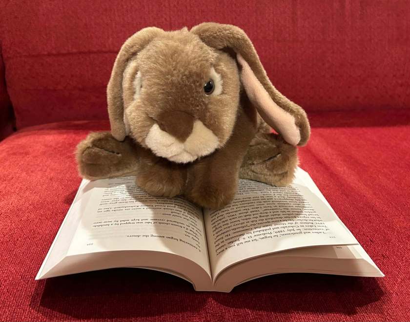 Caramel is reading Artemis Fowl and the Time Paradox by Eoin Colfer.