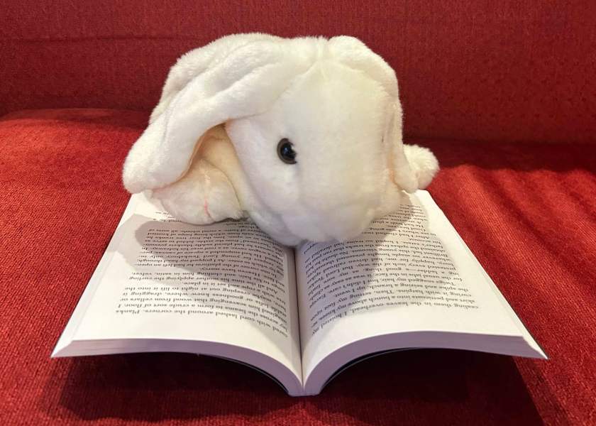 Marshmallow is reading Enola Holmes: The Case of the Missing Marquess by Nancy Springer.