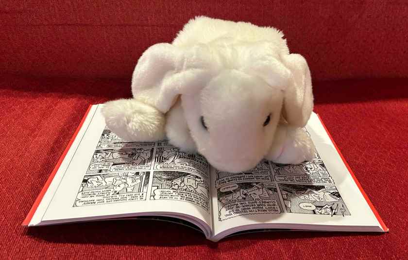 Marshmallow is reading Maus: A Survivor's Tale - I: My Father Bleeds History by Art Spiegelman.