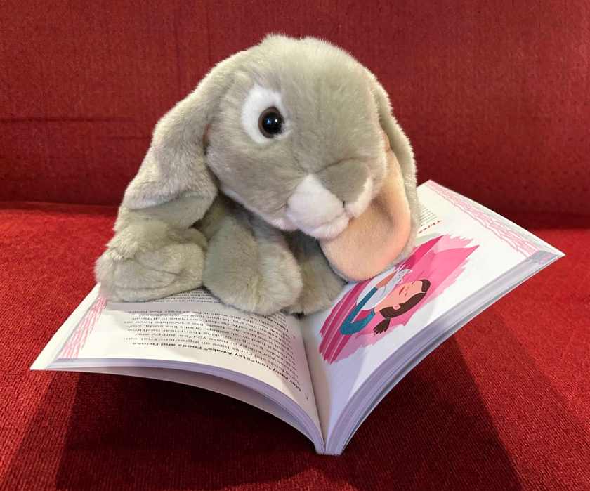 Sprinkles is reading Celebrate Your Body (And Its Changes, Too!): A Body-Positive Guide for Girls 8+, written by Sonya Renee Taylor and illustrated by Cait Brennan. 