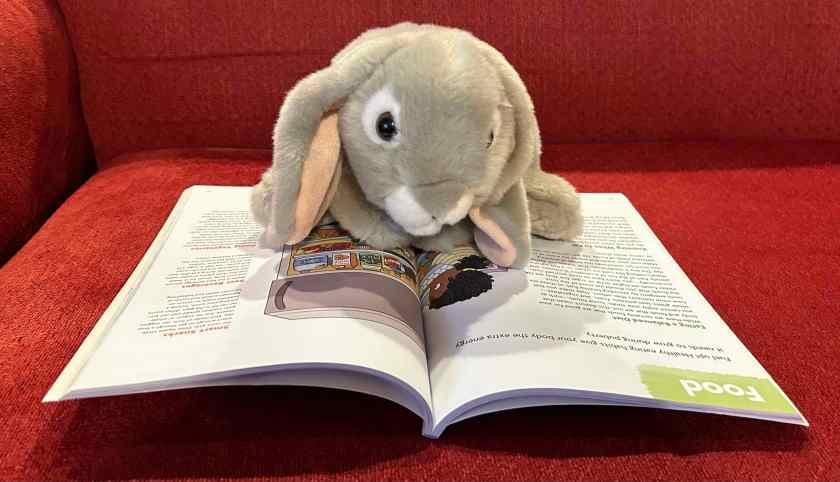 Sprinkles is reading The Care & Keeping of You 1: The Body Book for (Younger) Girls, written by Valorie Lee Schaefer and illustrated by Josée Masse.