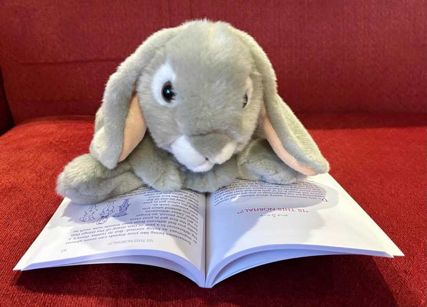 Sprinkles is reading The Period Book: A Girl's Guide to Growing Up, written by Karen Gravelle with Jennifer Gravelle Stratton, and illustrated by Debbie Palen. 