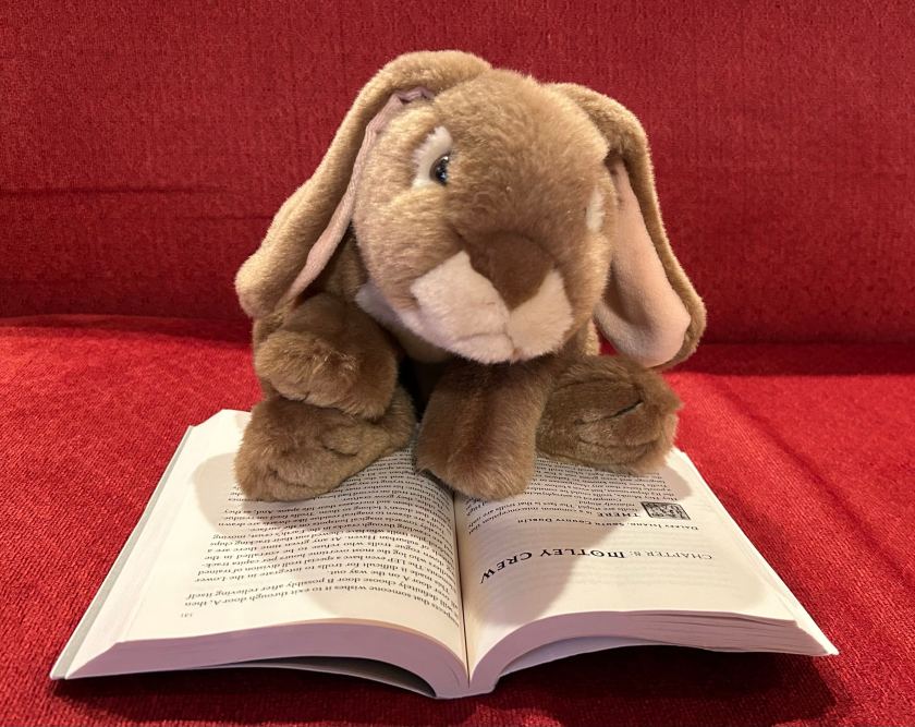 Caramel is reading Artemis Fowl and the Last Guardian by Eoin Colfer.