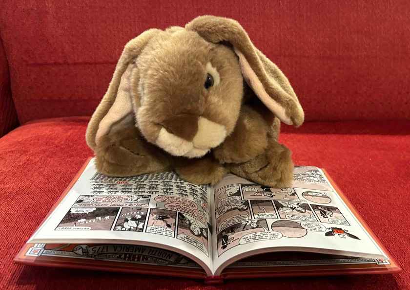 Caramel is reading Nathan Hale's Hazardous Tales #1: One Dead Spy by Nathan Hale.