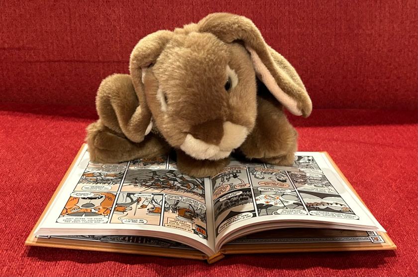 Caramel is reading Nathan Hale’s Hazardous Tales #2: Treaties, Trenches, Mud, and Blood by Nathan Hale.