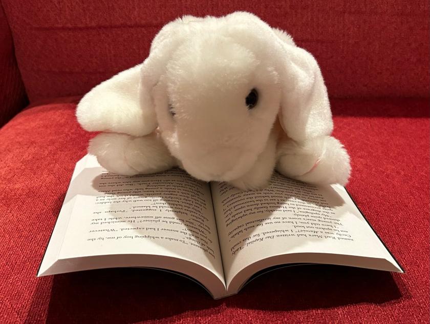 Marshmallow is reading Enola Holmes: The Case of the Left-Handed Lady by Nancy Springer.
