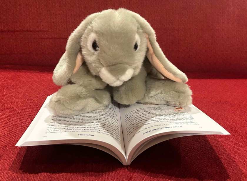 Sprinkles is reading What's Going On Down There? A Boy's Guide to Growing Up, written by Karen Gravelle with Chava and Nick Castro, and illustrated by Robert Leighton. 