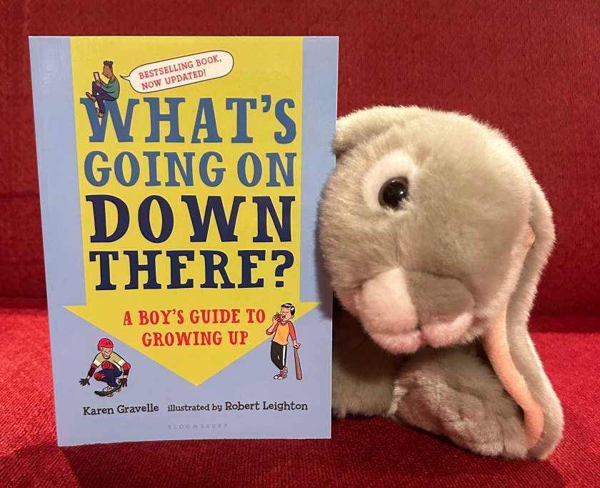 Sprinkles reviews What's Going On Down There? A Boy's Guide to Growing Up, written by Karen Gravelle with Chava and Nick Castro, and illustrated by Robert Leighton. 