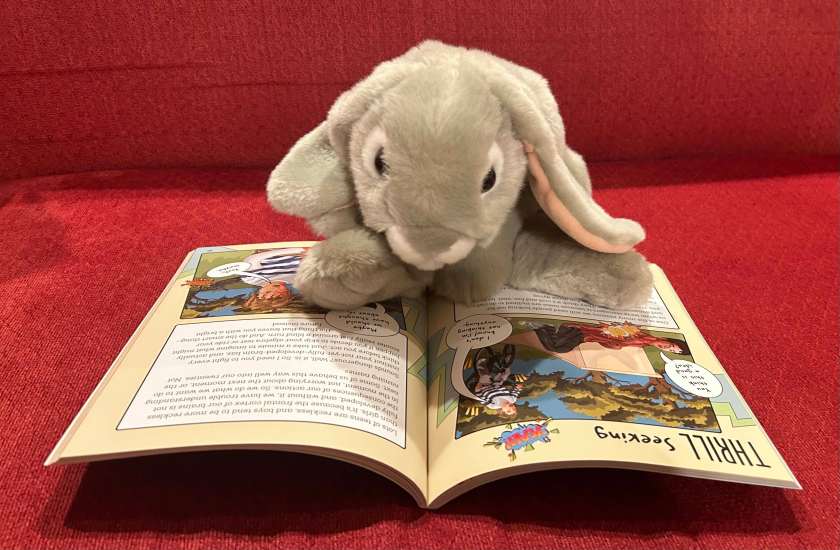 Sprinkles is reading Everything you Always Wanted to Know About Puberty -- and Shouldn't Be Googling - For Curious Boys, written by Morris Katz and illustrated by Amelia Pinney. 