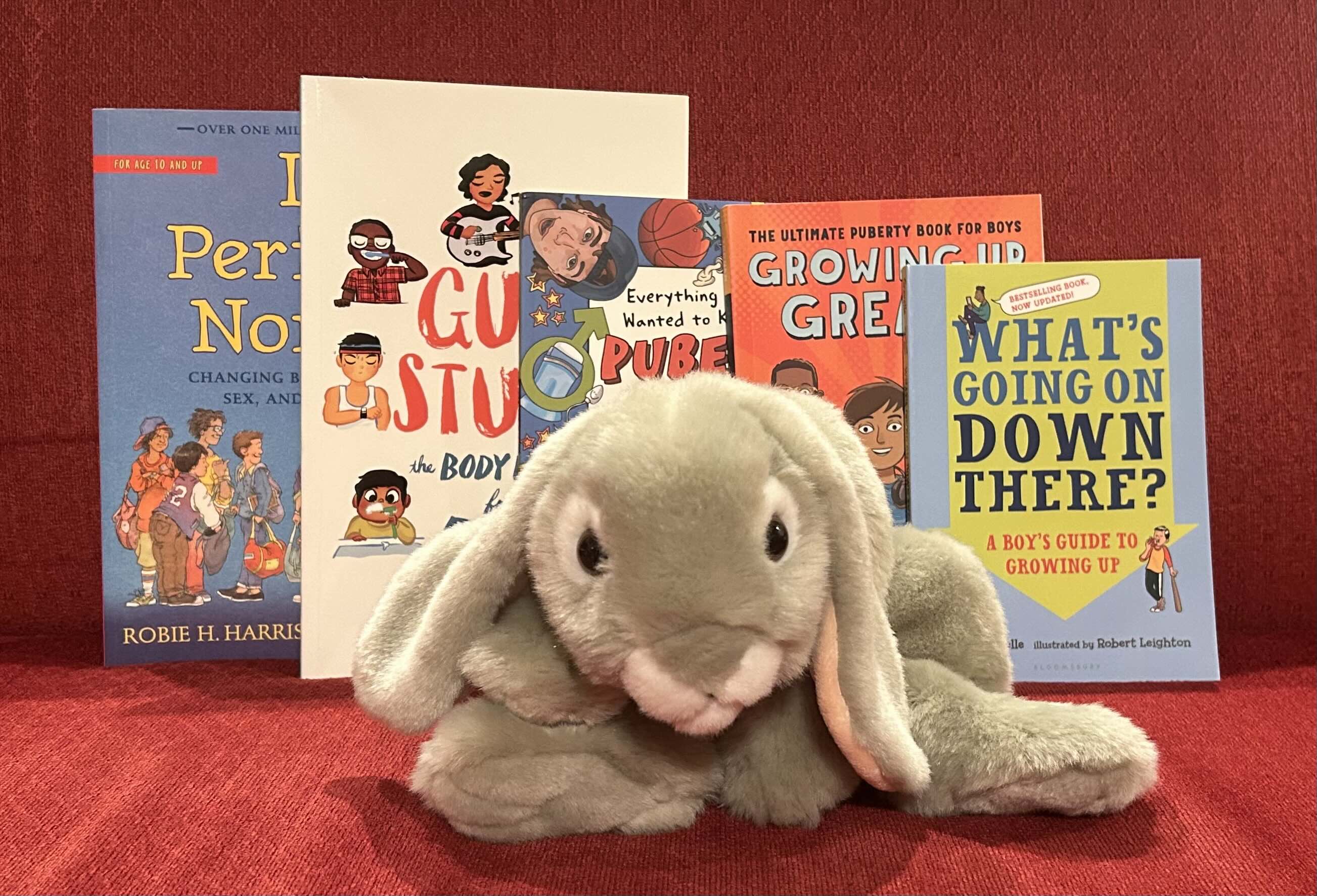 Sprinkles reviews children’s books about puberty – for boys – BookBunnies