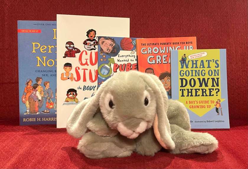 Sprinkles reviews children's books about puberty - for boys.