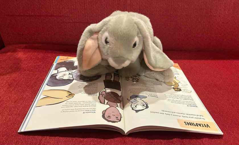 Sprinkles is reading Guy Stuff: The Body Book for Boys, written by Cara Natterson and illustrated by Micah Player. 