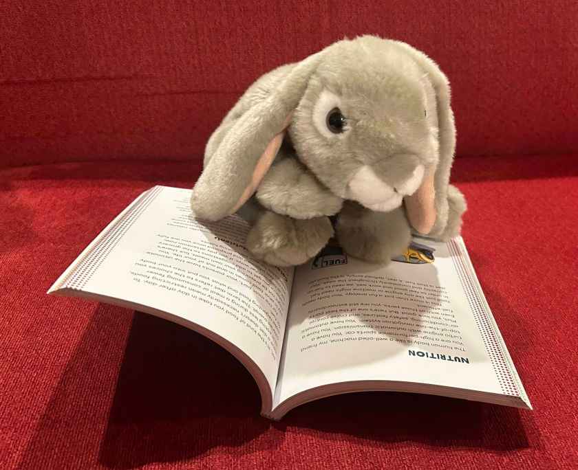 Sprinkles is reading Growing Up Great!: The Ultimate Puberty Book for Boys, written by Scott Todnem and illustrated by Anjan Sarkar.