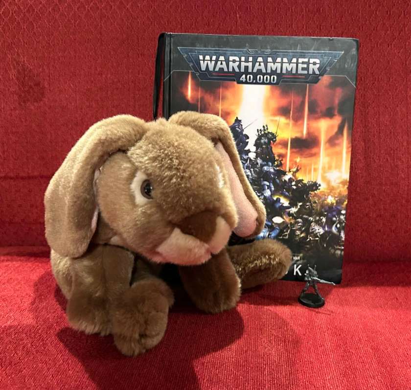 Caramel and Aeldari friend will continue to read and enjoy Warhammer 40000: Core Book for many months and years to come.