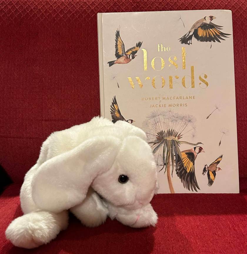 Marshmallow reviews The Lost Words: A Spell Book written by Robert Macfarlane and illustrated by Jackie Morris.