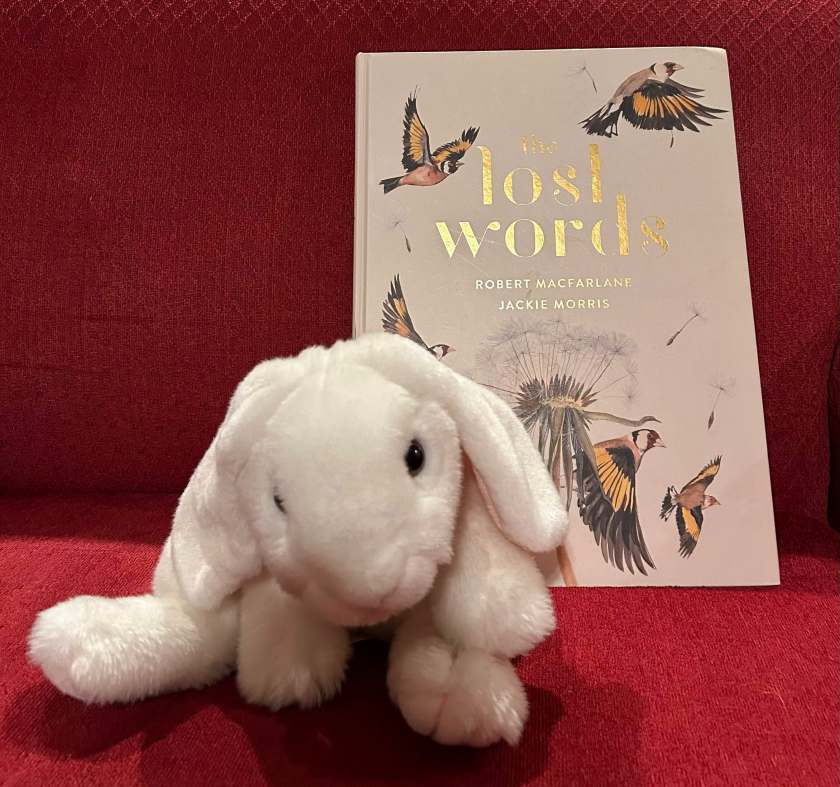 Marshmallow rates The Lost Words: A Spell Book written by by Robert Macfarlane and illustrated by Jackie Morris 100%.
