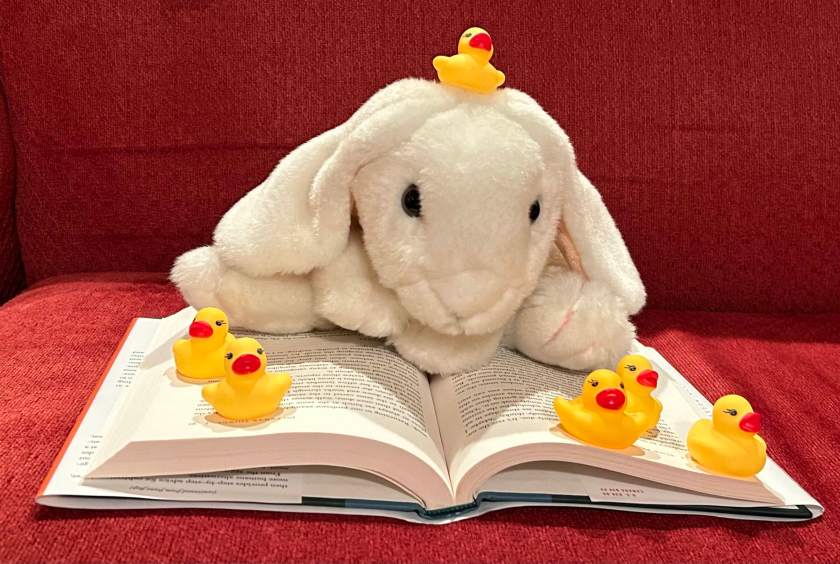 Marshmallow is reading Slow Productivity by Cal Newport while the friendly but slightly annoying little duckling is joined by several others. 
