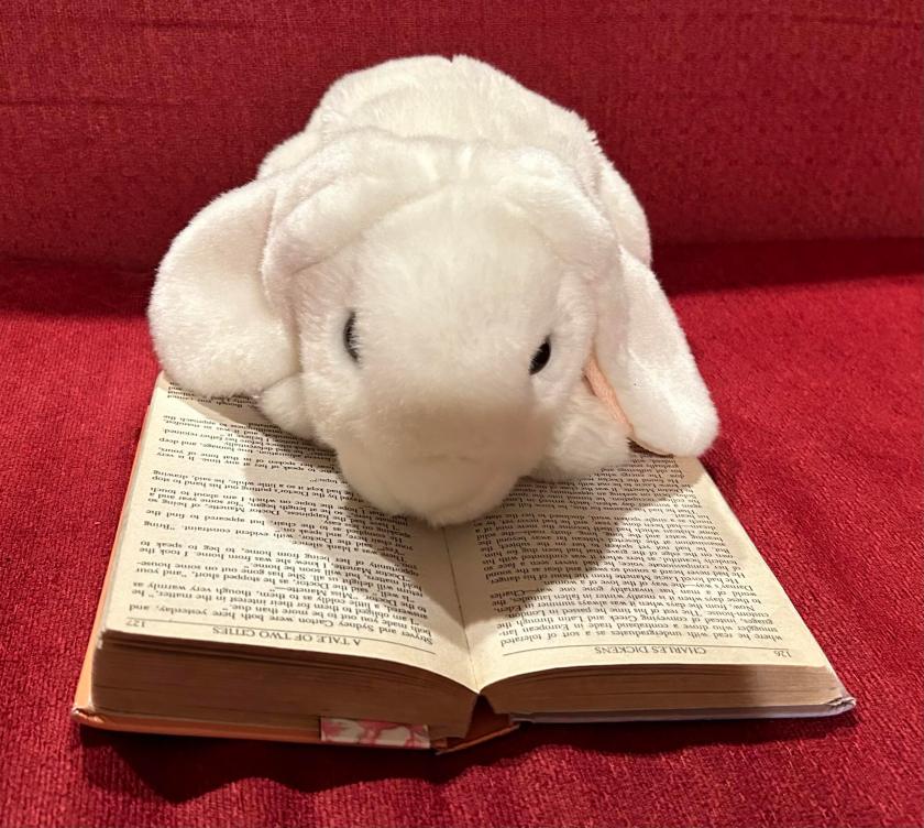 Marshmallow is reading A Tale of Two Cities by Charles Dickens.