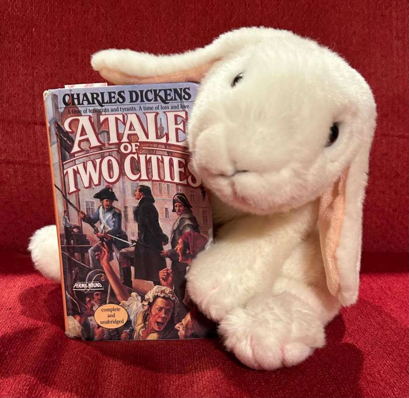 Marshmallow reviews A Tale of Two Cities by Charles Dickens.