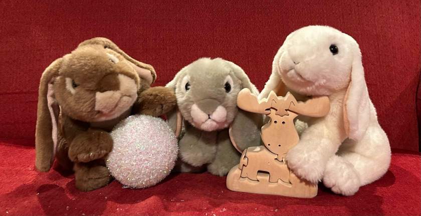 The book bunnies, and new friend Moose, wish all bunnies around the world a happy hoppy new year in 2025, with lots of good books and many friends, old and new!