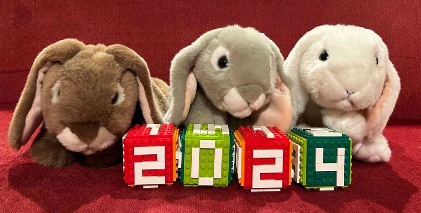 The book bunnies review the books of 2024.